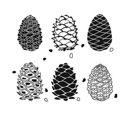 Cedar cone set, sketch for your design