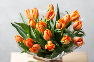 Beautiful orange and yellow tulips on light gray wall. Flower background. Warm colors. copy space