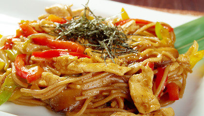 Japanese Yakiudon