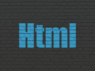 Fototapeta na wymiar Database concept: Html on wall background