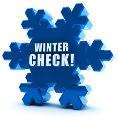 Wintercheck! Button, Icon