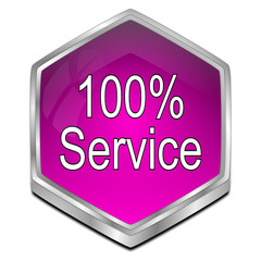 100% Service button - 3D illustration