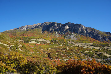 Timpanogos Mountain Landscape 01