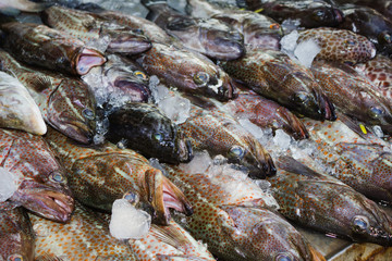 Fresh fish in the market in Thailand