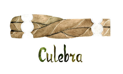 Culebra cigar shape, isolated hand painted watercolor illustration with handwritten inscription