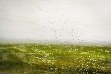 Water droplets on the windshield of a car while driving in green background..