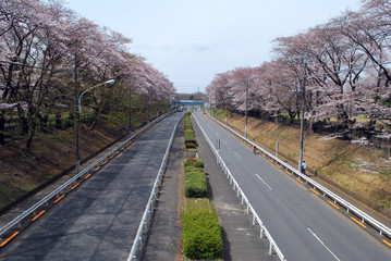 東八道路