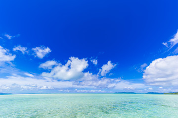 コンドイビーチ
