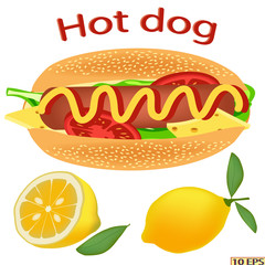 Hot dog. Delicious hot dog with ketchup. Tasty hot dog with sausage, cheese, tomato, lettuce, parsley. Fast food. Vector illustration.