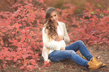 Portrait of young pregnant woman in casual clothes walking in red autumn park