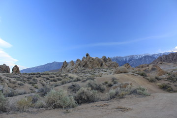 Lone Pine