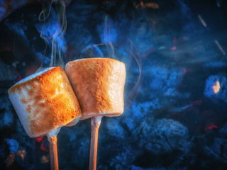 Two brown sweet marshmallows roasting over fire flames. Marshmallow on skewers roasted on charcoals