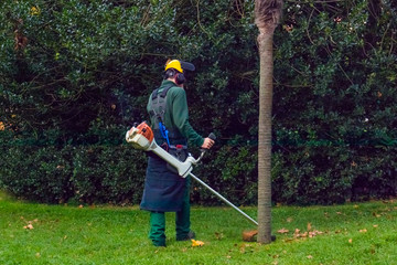 A worker mows the grass in the park with a lawn mower.