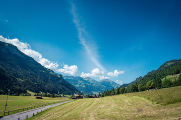 gorgeous scenery view of country road in the Alpines with yellow field in summer