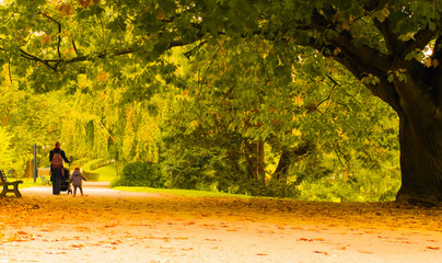 In the autumn park walks a young mother with a baby and a stroller.