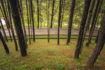 View from Pine nation park at north of thailand