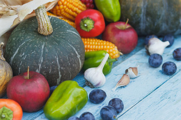 Pumpkin, corn and different ripe vegetables