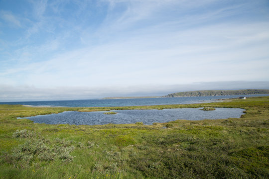 Landscape, east coast North Cape, Stranda, summer