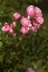 warm autumn colors in October