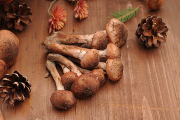 Fototapeta na wymiar autumn still life mushrooms on a table
