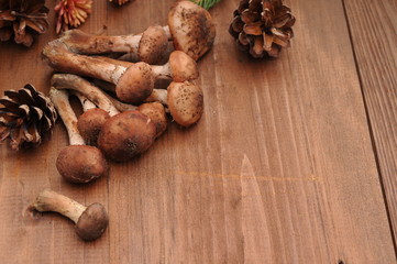 autumn still life mushrooms on a table