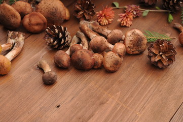 Obraz na płótnie Canvas autumn still life mushrooms on a table