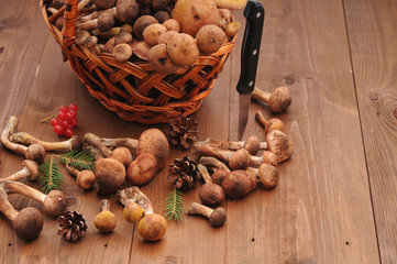autumn still life mushrooms on a table