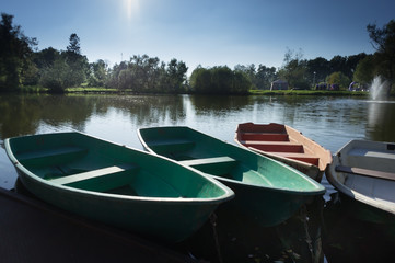 four rowboats laying in the water of a small lake