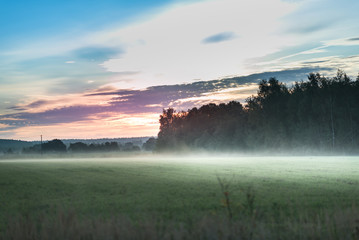 foggy morning meadow. landscape