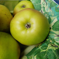 Landsberger Renette, Apfel, Malus, domestica, Alte Apfelsorte