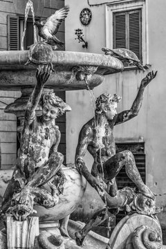 Fontana delle tartarughe