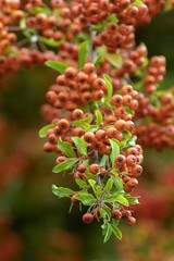 warm autumn colors in October