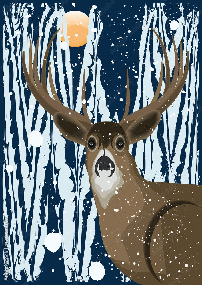 Poster Beautiful deer in the winter forest - night - moon - art creative vector illustration