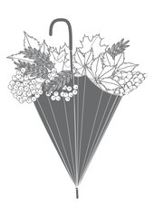 sketch - in the umbrella lie autumn leaves, bunches of mountain ash, grapes - isolated on white background - art creative vector