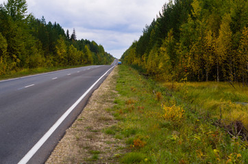 Autumn road in the forest