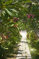 Fototapeta na wymiar Beautiful tropical garden