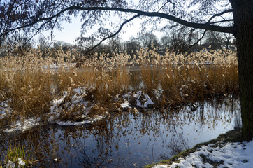 Ice and snow at a rural pond in Berlin, Germany