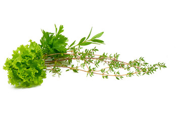 Parsley, Celery, Sage, Thyme, Rosemary, Lettuce, fresh spices isolated on white background