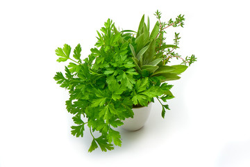 Parsley, Celery, Sage, Thyme, fresh leaves isolated on white background