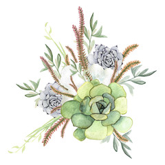 Watercolor succulent bouquet