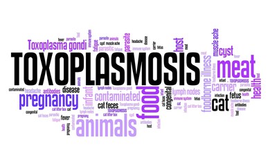 Obraz premium Toxoplasmosis word cloud