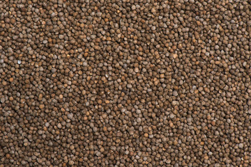 Aroma sesame background, Seed background and texture
