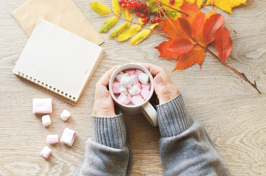 women's hands hold a mug with a drink of cocoa and marshmelow, autumn leaves and a notebook for notes on a wooden table. Autumn concept, morning.
