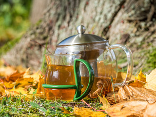 Tee trinken in der Natur