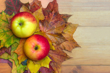Apples and leaves