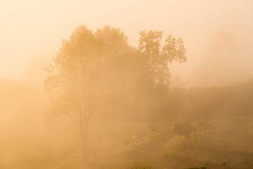 Plakat Landscape of misty mountains at the sunrise in Phayao province, Phu Lanka mountain hills, North of Thailand.