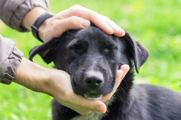 Man with a black dog in the park