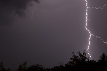 Huge fork lightnings and thunder during heavy summer storm.