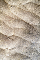 textures and patterns of wood