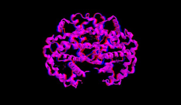 Molecular structure of deoxy - hemoglobin